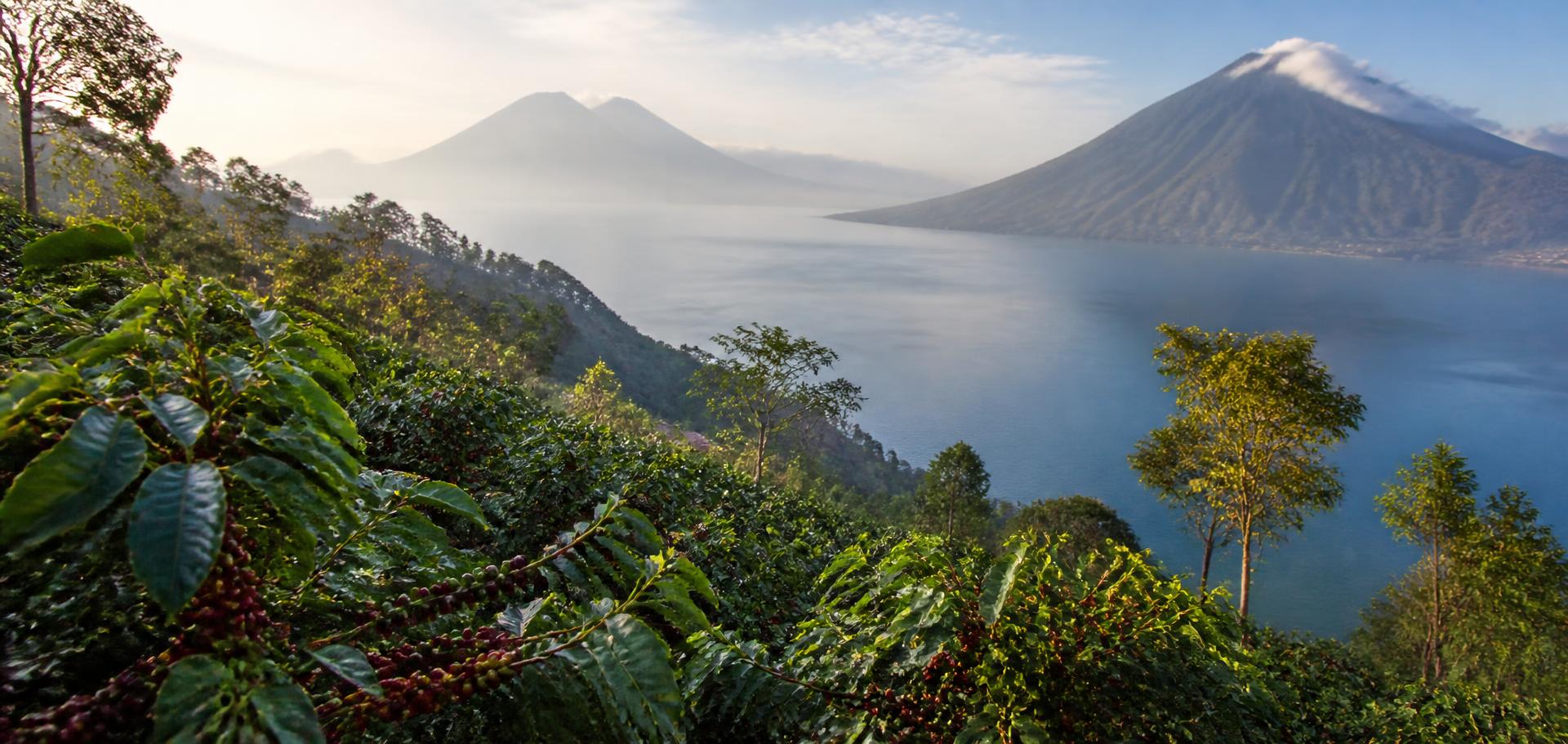 Finca Cerro Azul landscape