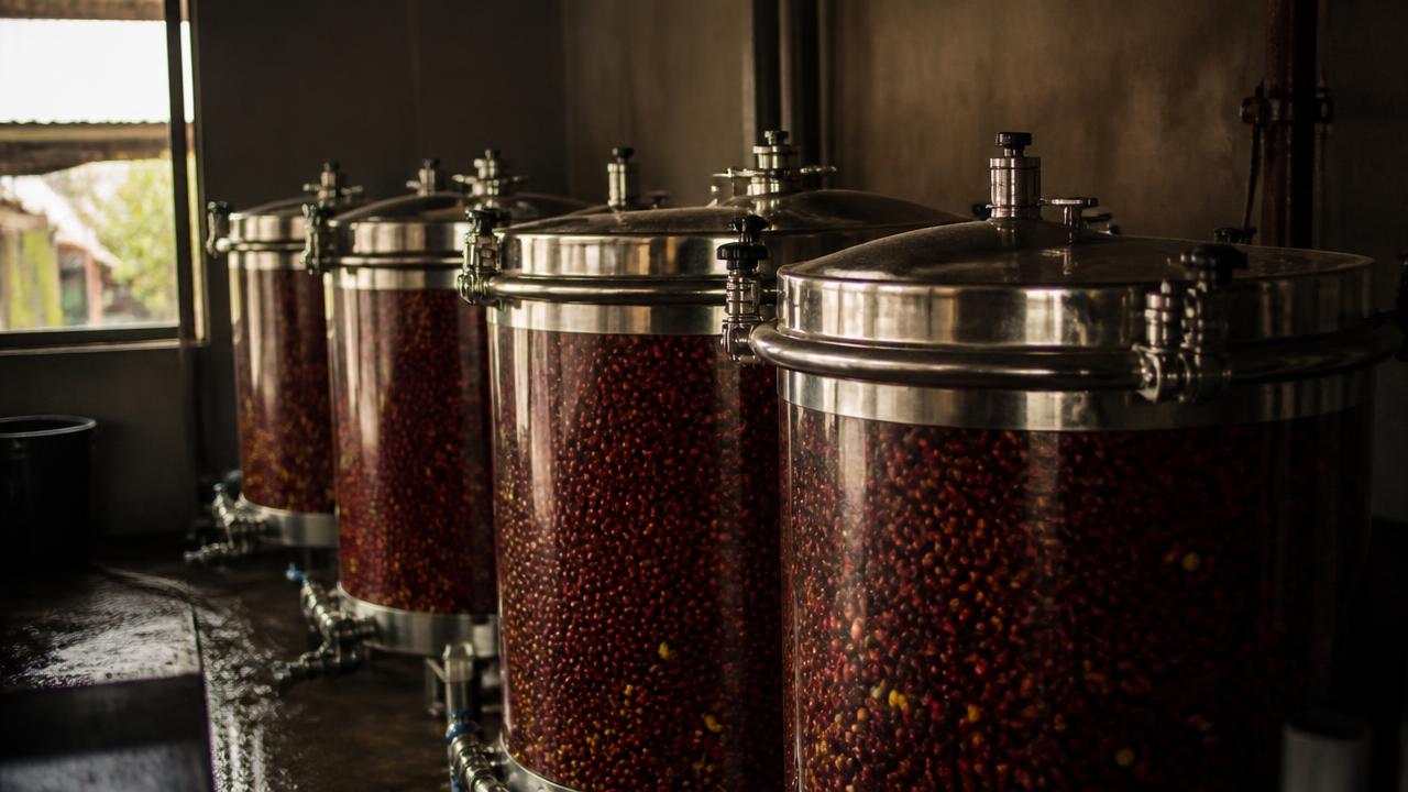 Anaerobic Bourbon 72h