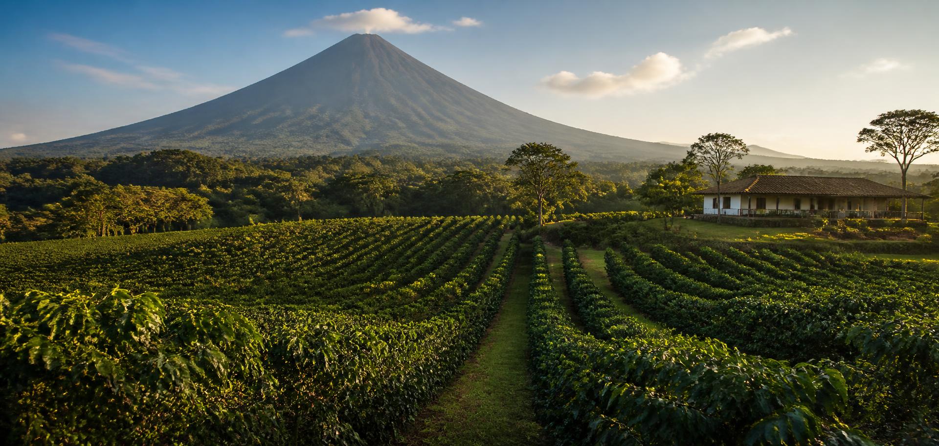 Santa Elena landscape
